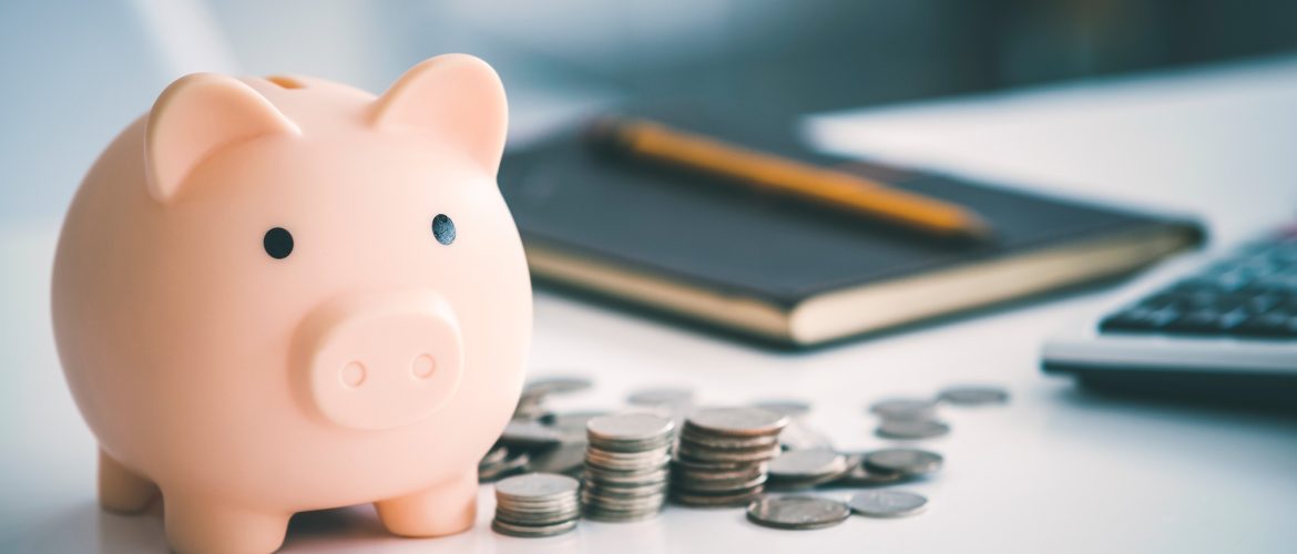 Pig Bank And Money.